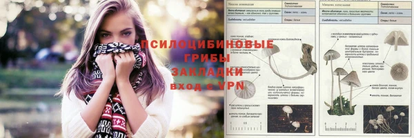 ПСИЛОЦИБИНОВЫЕ ГРИБЫ Аркадак