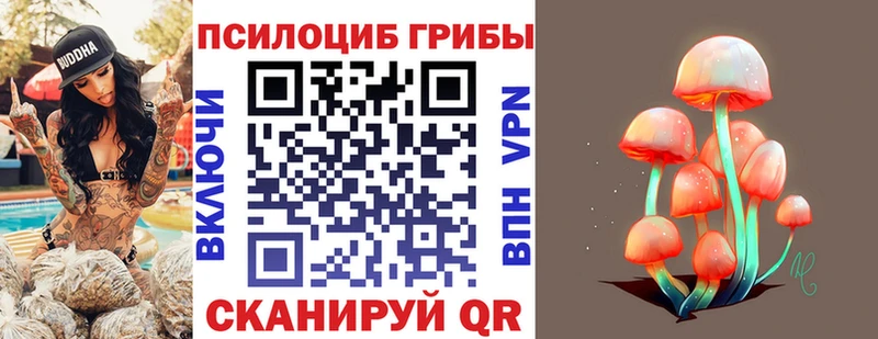 MEGA маркетплейс  Нязепетровск  Псилоцибиновые грибы ЛСД 