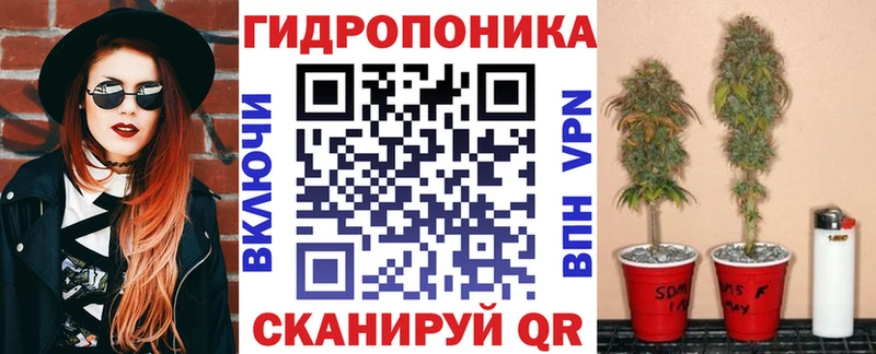продажа наркотиков  Нязепетровск  Конопля семена 